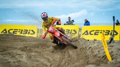 Holcombe Trionfa in Versilia